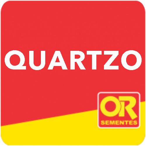 Ors-quartzo